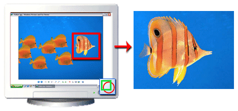 The record screen image can create GIF animations from a series of screenshots.