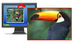 The record screen program supports full-screen capture as well as capture of specific regions.