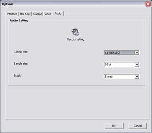 The capture screen shots program also supports capturing DirectX games, and you can define hotkeys for quick access.