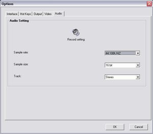 screenshot windows offers a tabbed interface to manage multiple captures and can be triggered via keyboard hotkey with optional delay timer.