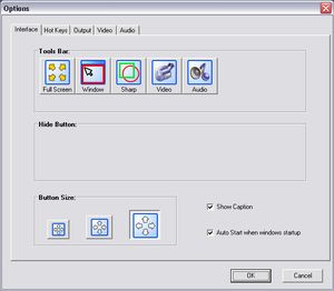 screen capture resolution offers a tabbed interface to manage multiple captures and can be triggered via keyboard hotkey with optional delay timer.